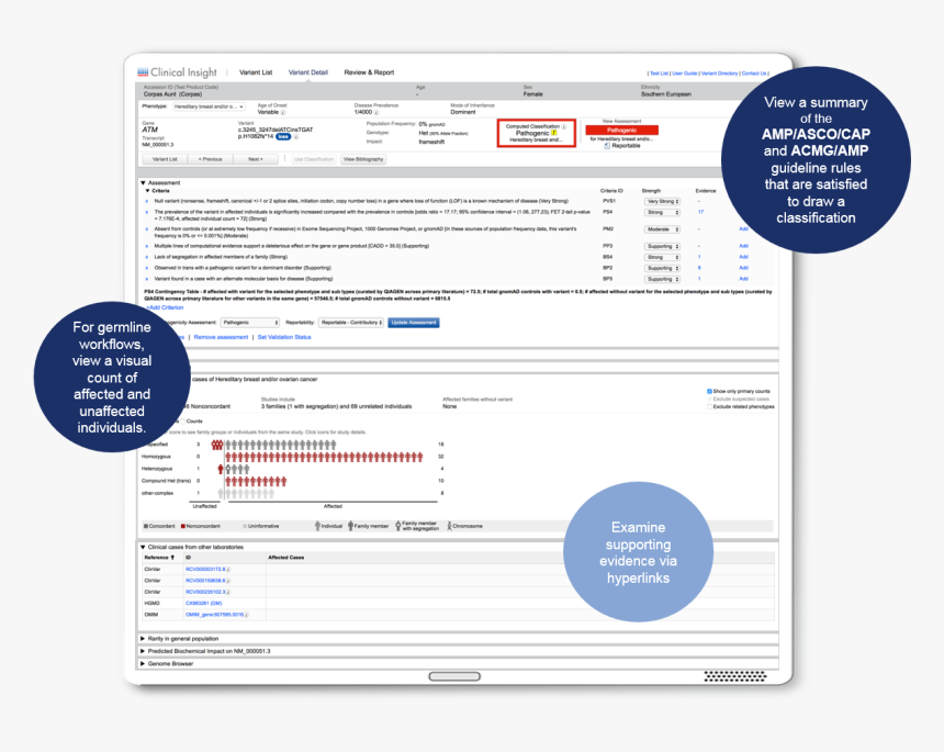 Qiagen Clinical Insight Interpret, HD Png Download, Free Download