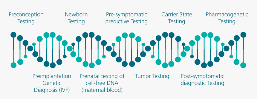 Genetic Diagnosis, HD Png Download, Free Download