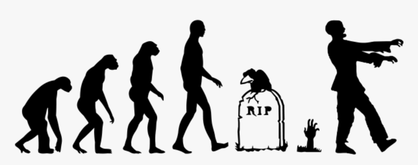 Evolution Of Man, HD Png Download, Free Download