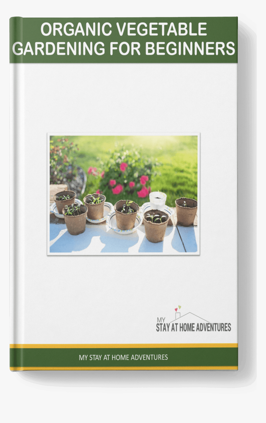 Budget Small Garden Ideas Uk, HD Png Download, Free Download
