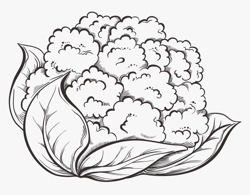 Cauliflower Black And White, HD Png Download, Free Download