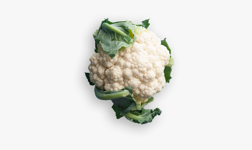 Cauliflower, HD Png Download, Free Download