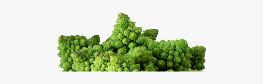 Plant,vegetarian Food,grape - Broccoli, HD Png Download, Free Download