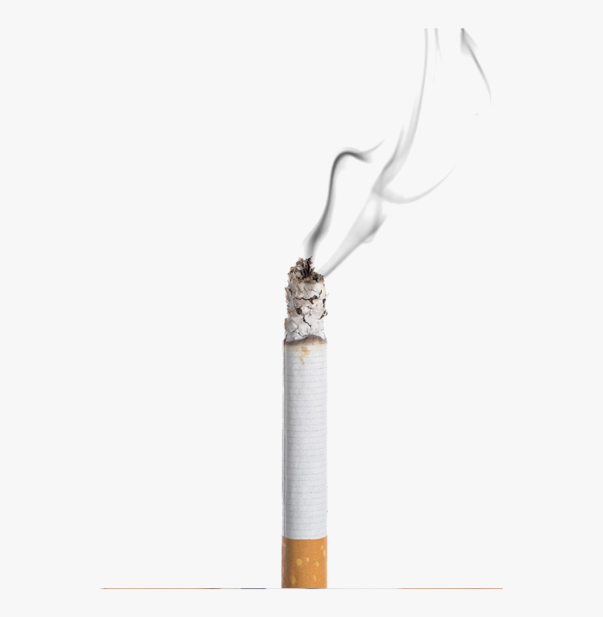 Burning Cigarette White Background, HD Png Download, Free Download