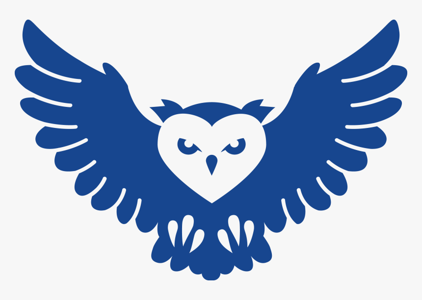 Transparent Owls Png - Redson Armband Set Safe, Png Download, Free Download