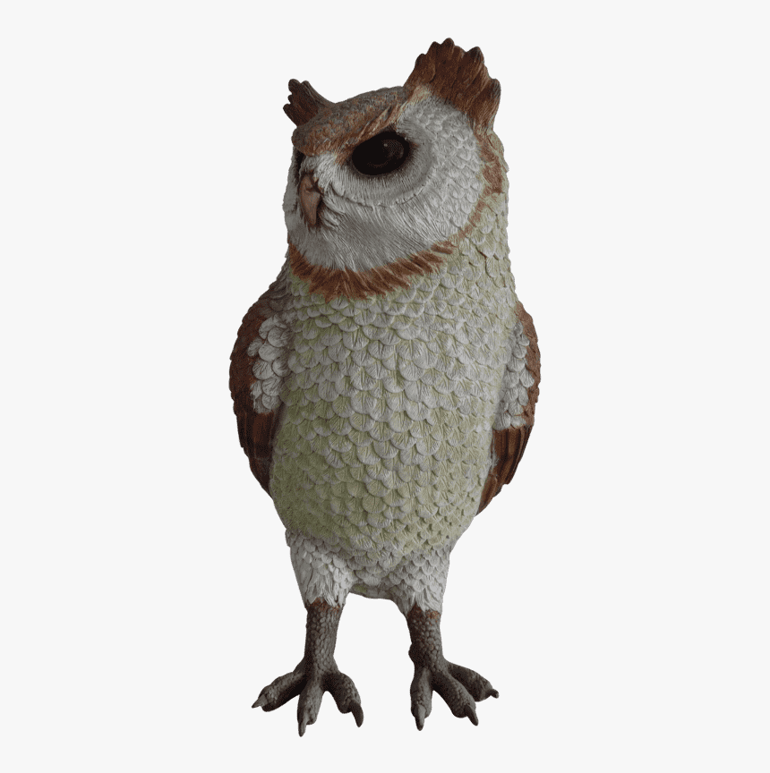 Owl, HD Png Download, Free Download