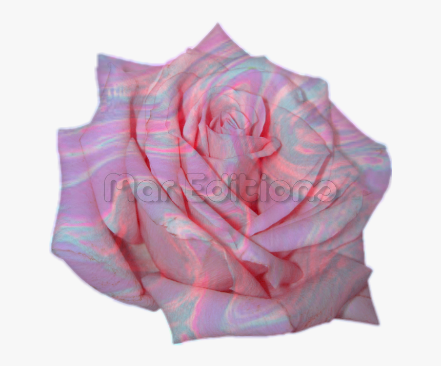 New Sticker 💕🌸 Flor Tumblr En Png Para Tus Edits😍👑 - Transparent Pink Rose Png, Png Download, Free Download