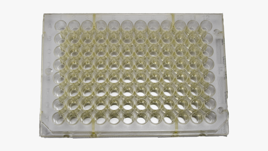 Delfia Assay Plate, 96-well, Yellow - Plastic, HD Png Download, Free Download