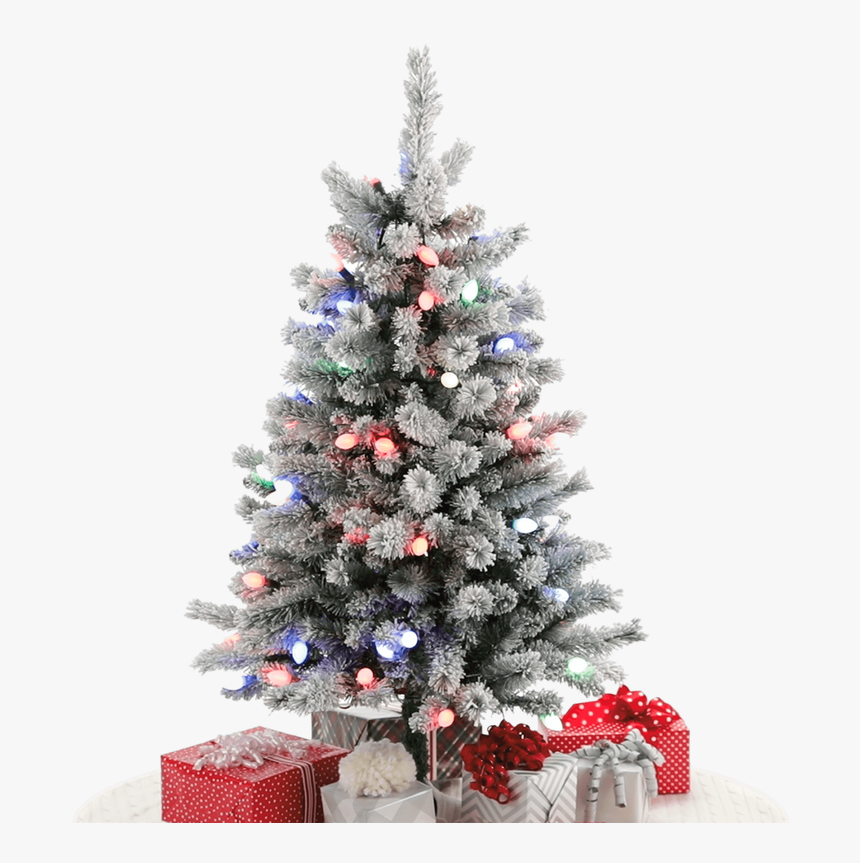 Flocked Tree With Colored Lights, HD Png Download, Free Download