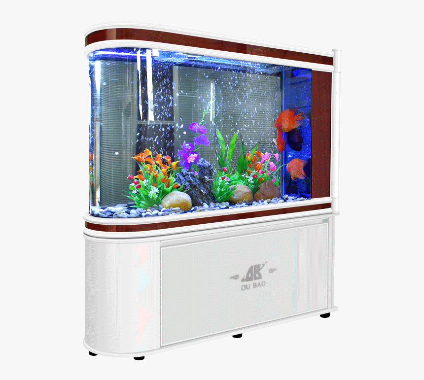 Freshwater Aquarium, HD Png Download, Free Download