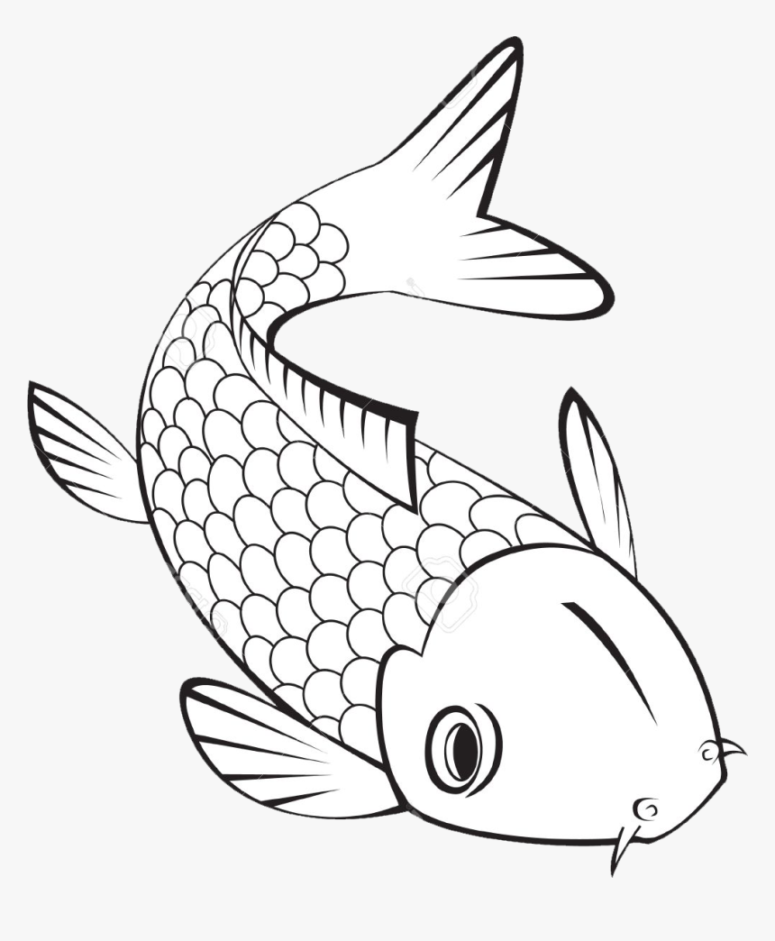 Koi Fish To Color, HD Png Download, Free Download