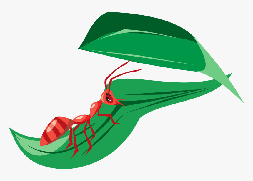 Ant On A Leaf Clipart, HD Png Download, Free Download