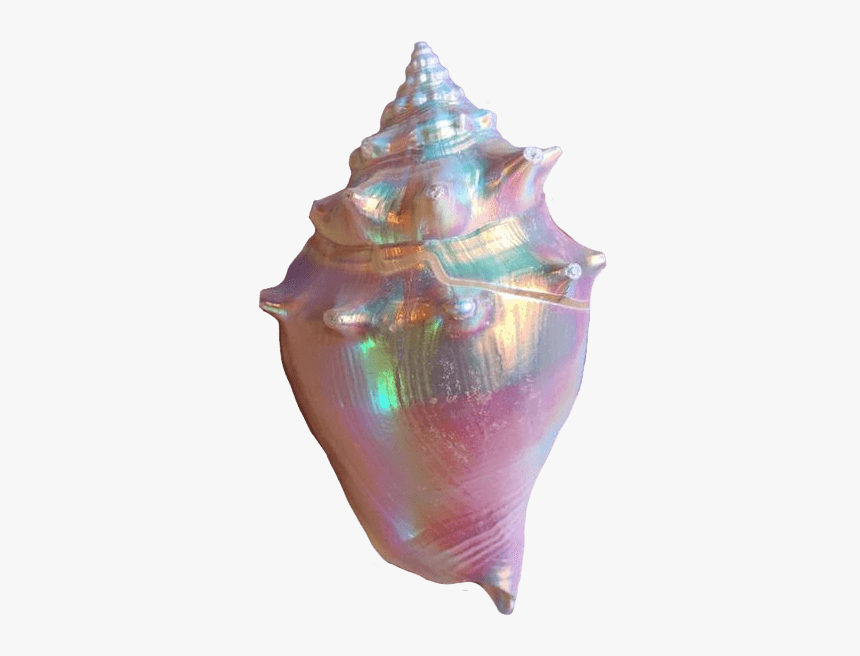 #aesthetic #conch #seashell #sea #shell #colorful - Iridescent Shell, HD Png Download, Free Download