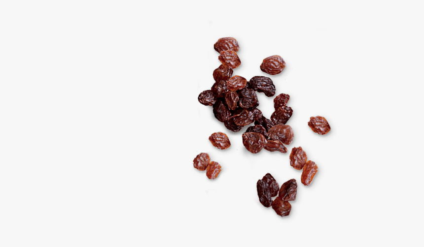 Raisin, HD Png Download, Free Download