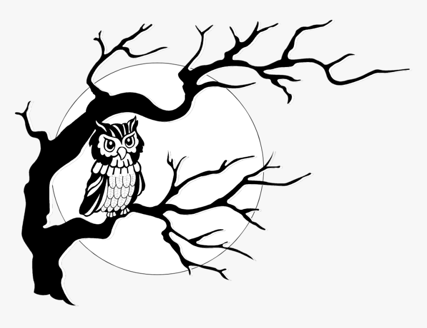 Tree With An Owl, HD Png Download, Free Download
