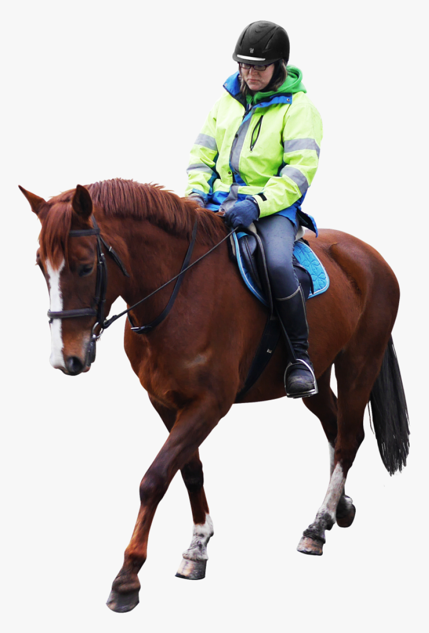 Horse Riding Png Image - Horse Riding Png, Transparent Png, Free Download