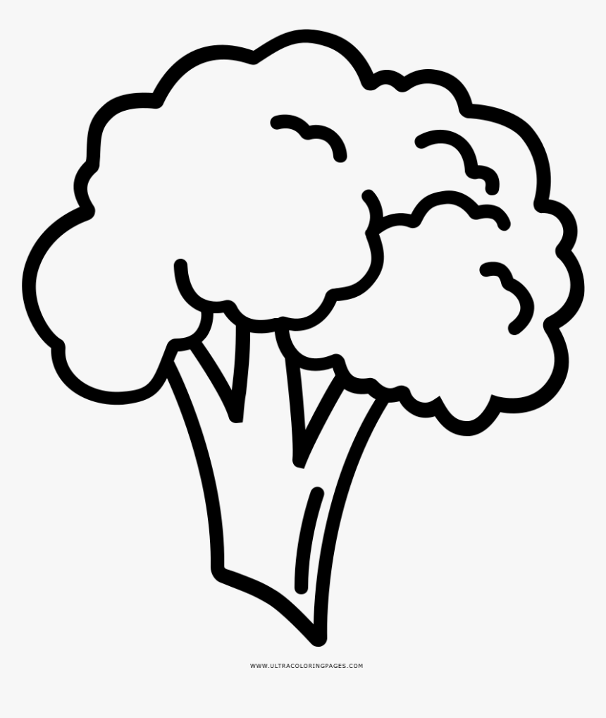 Broccoli Coloring Page - Easy To Draw Broccoli, HD Png Download, Free Download