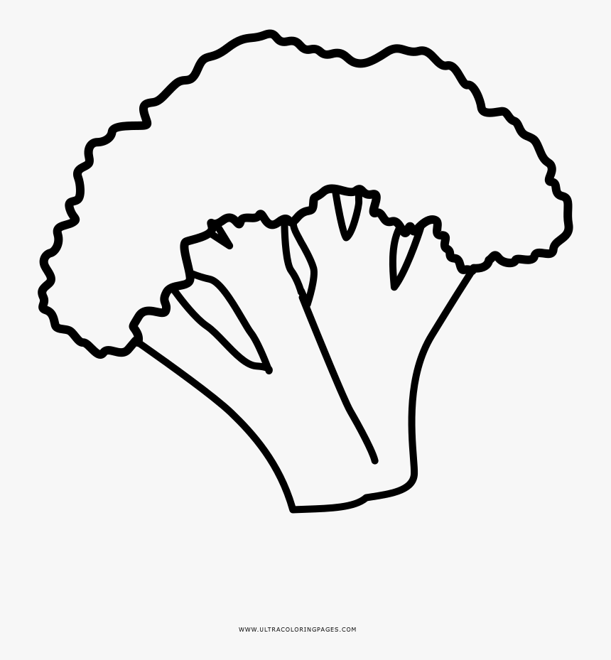 Broccoli Coloring Page - Line Art, HD Png Download, Free Download