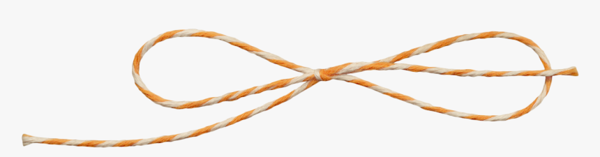 May - Networking Cables, HD Png Download, Free Download