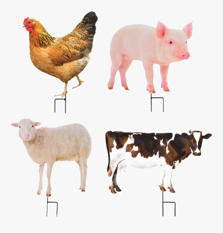 Garden Stick Farm Animals Ass - Animaux Décoratifs De Jardin, HD Png Download, Free Download