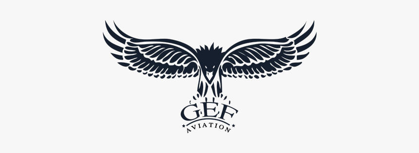 Eagle, HD Png Download, Free Download