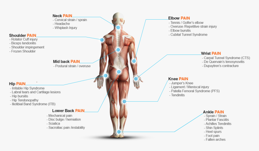 Diagram, HD Png Download, Free Download