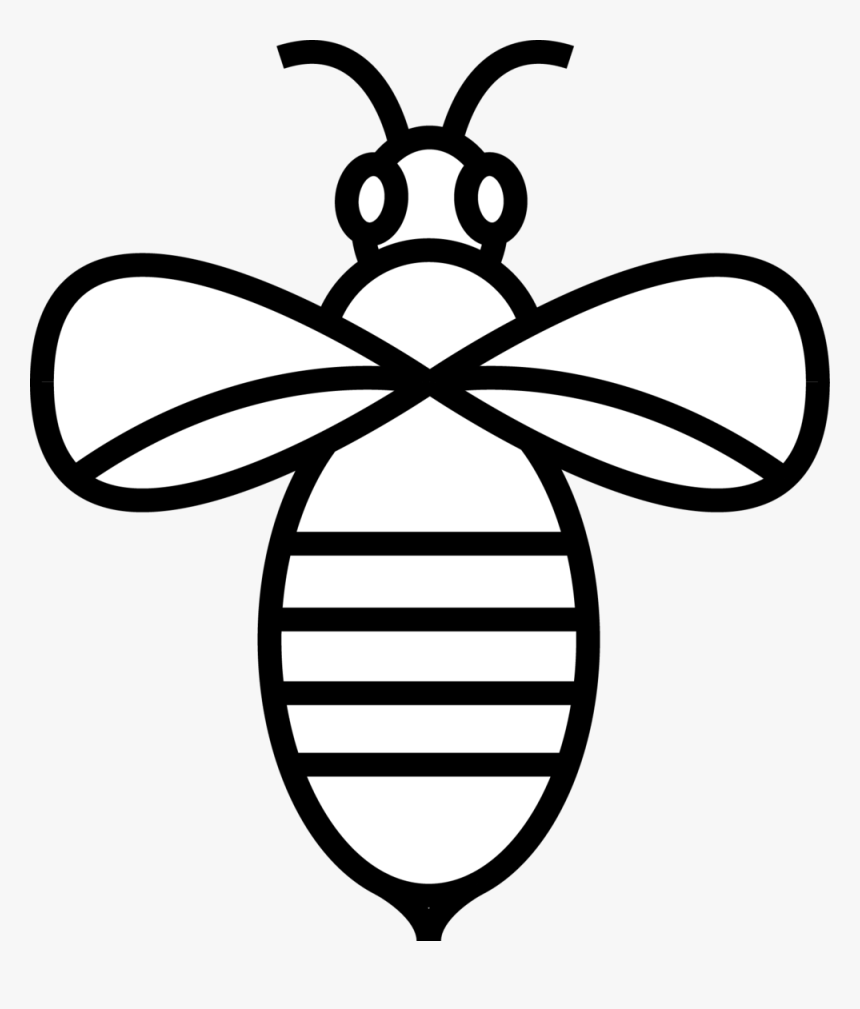 Bee, HD Png Download, Free Download