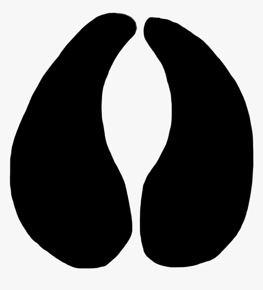 Cow Paw Prints, HD Png Download, Free Download