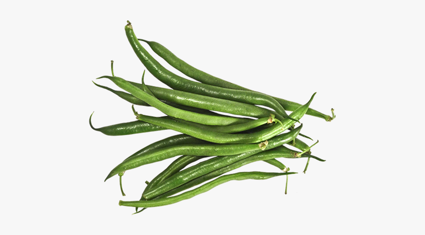 Green Bean, HD Png Download, Free Download