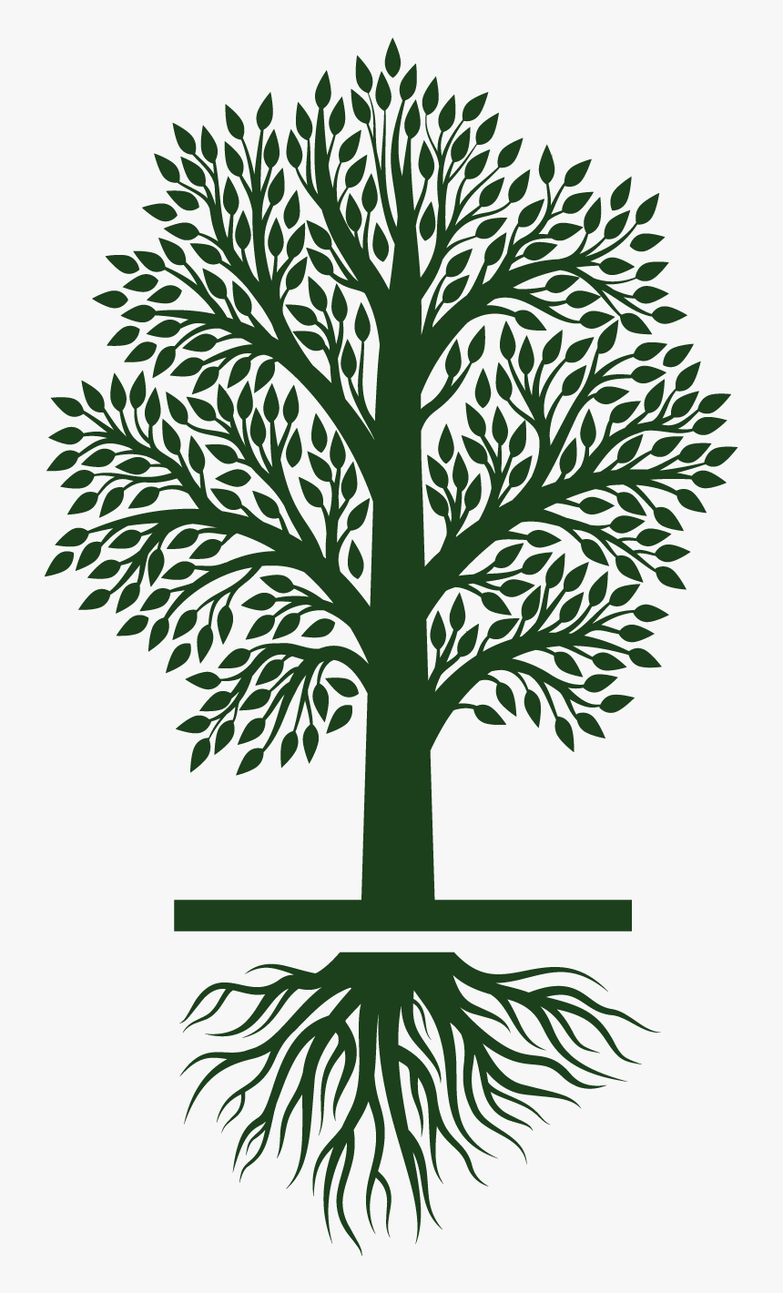 Clipart Tree Growing, HD Png Download, Free Download