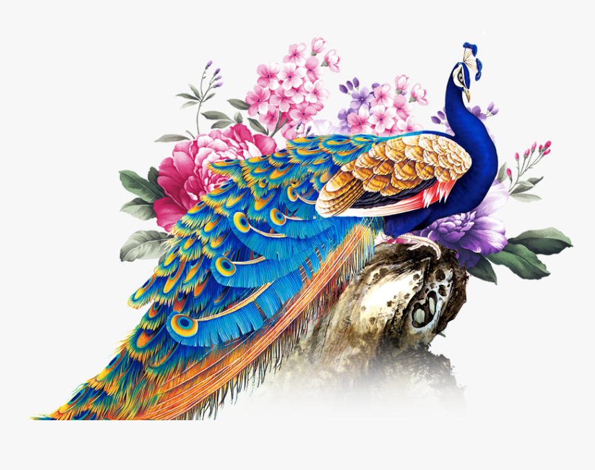 Transparent Background Peacock Png, Png Download, Free Download