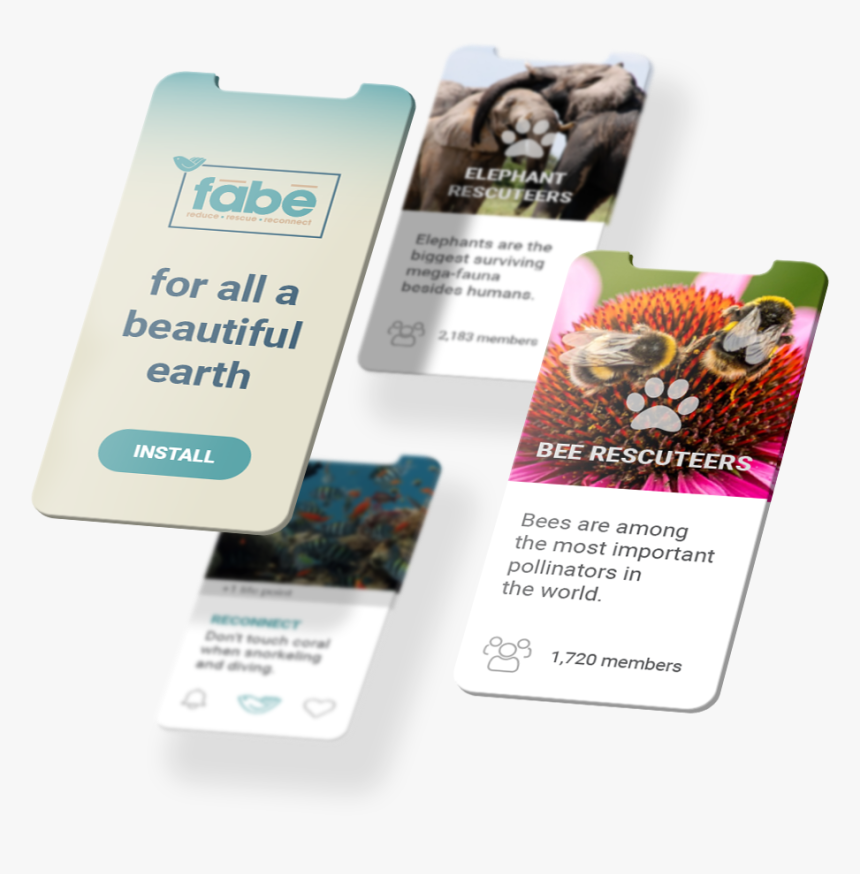 Fabe App Screens - Flyer, HD Png Download, Free Download