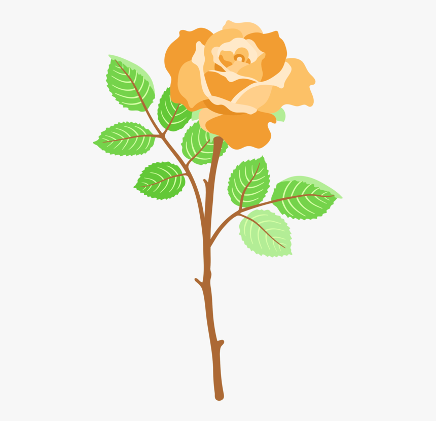 Plant,flower,leaf - Wallpaper, HD Png Download, Free Download