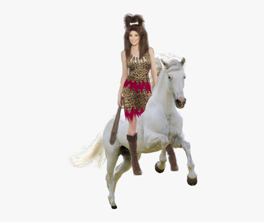 Horse Images Hd Png Download, Transparent Png, Free Download