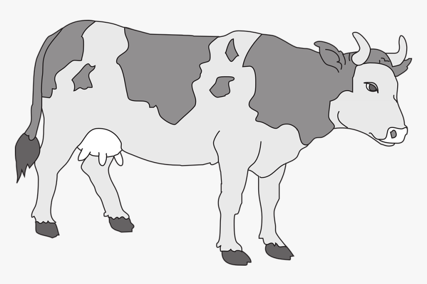 Cow Clip Art Colored, HD Png Download, Free Download