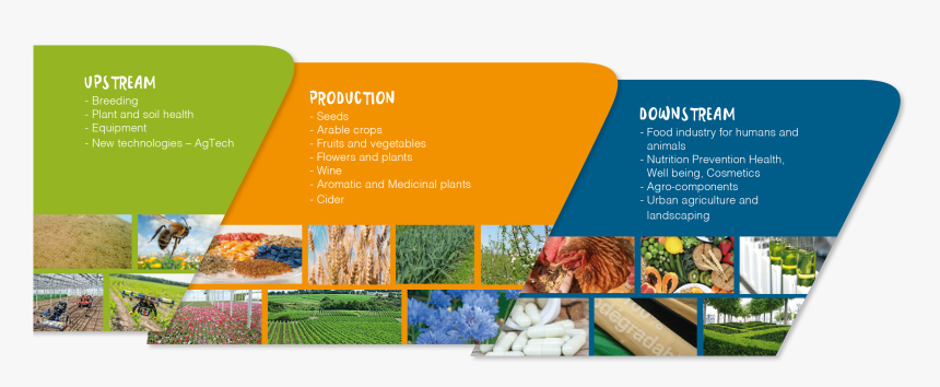 Vegepolys Valley Frise Uk - Brochure, HD Png Download, Free Download