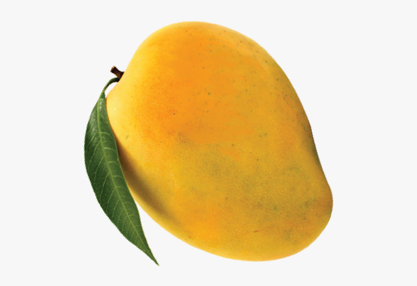 Mango, HD Png Download, Free Download