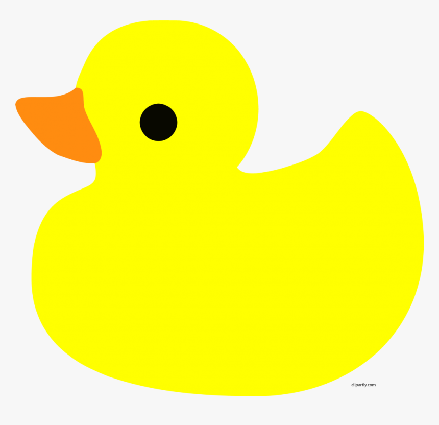 Duck, HD Png Download, Free Download