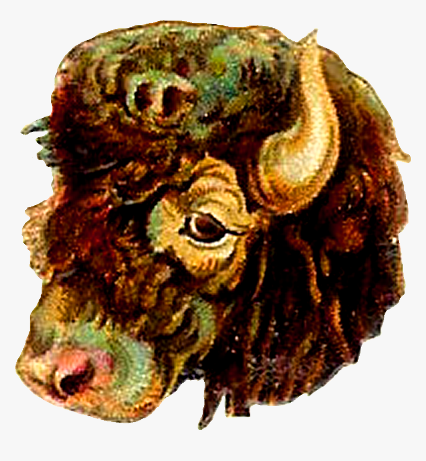Buffalo Animal Digital Clip Art - Animal, HD Png Download, Free Download
