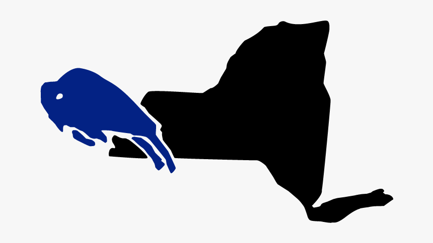 Buffalo New York Cartoon, HD Png Download, Free Download