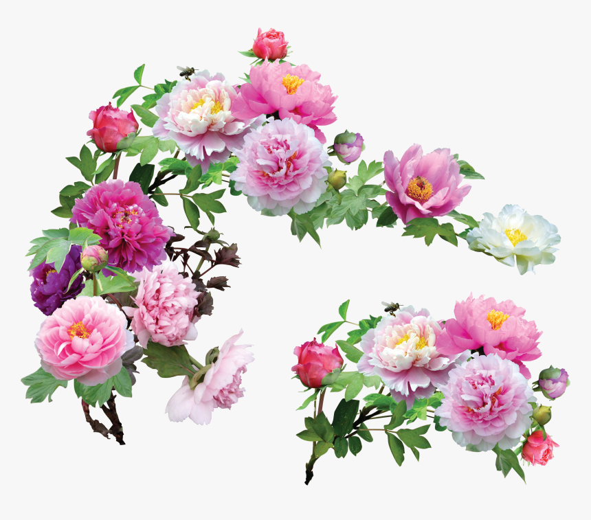 Flowering Peaches - Picture V - 2 - 6 Png, - Transparent Corner Flower Png, Png Download, Free Download