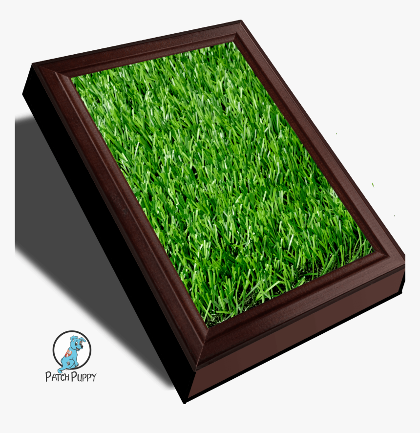 Grass Patch Png, Transparent Png, Free Download