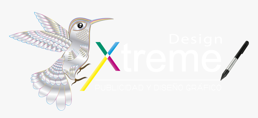 Design Xtreme - Hummingbird, HD Png Download, Free Download