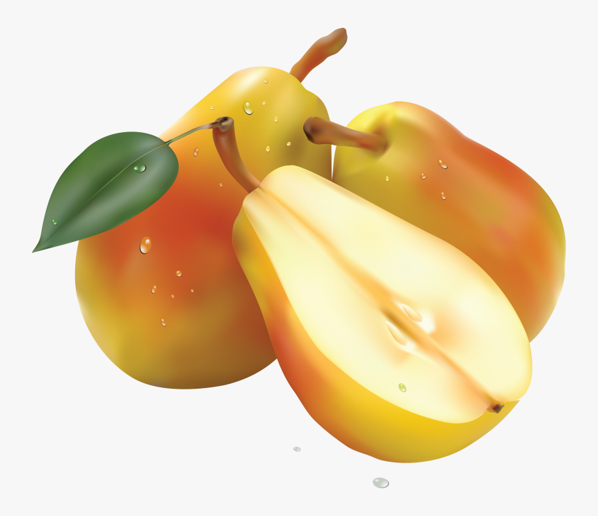 Pear Png File, Transparent Png, Free Download