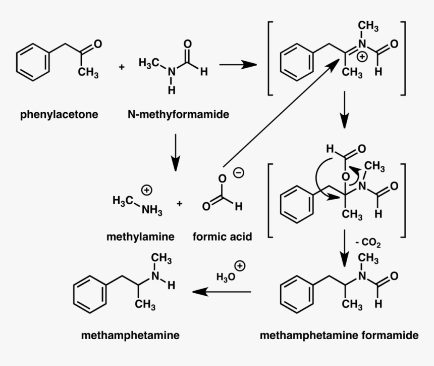 Methylamine And Methanoic Acid, HD Png Download, Free Download