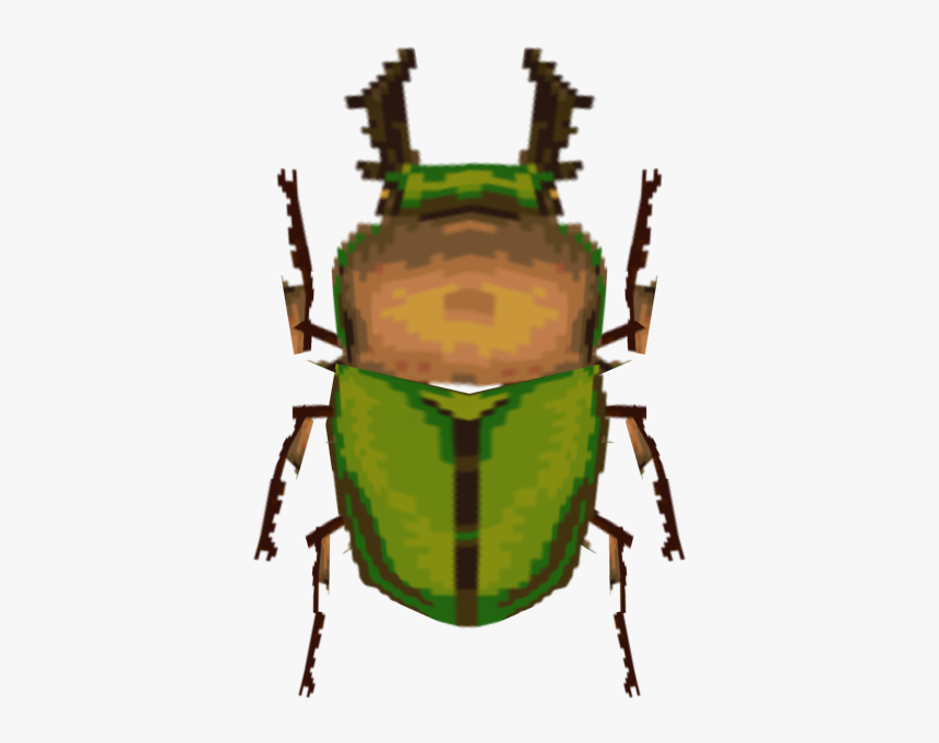 Download Zip Archive - Rainbow Stag Beetle Transparent, HD Png Download, Free Download