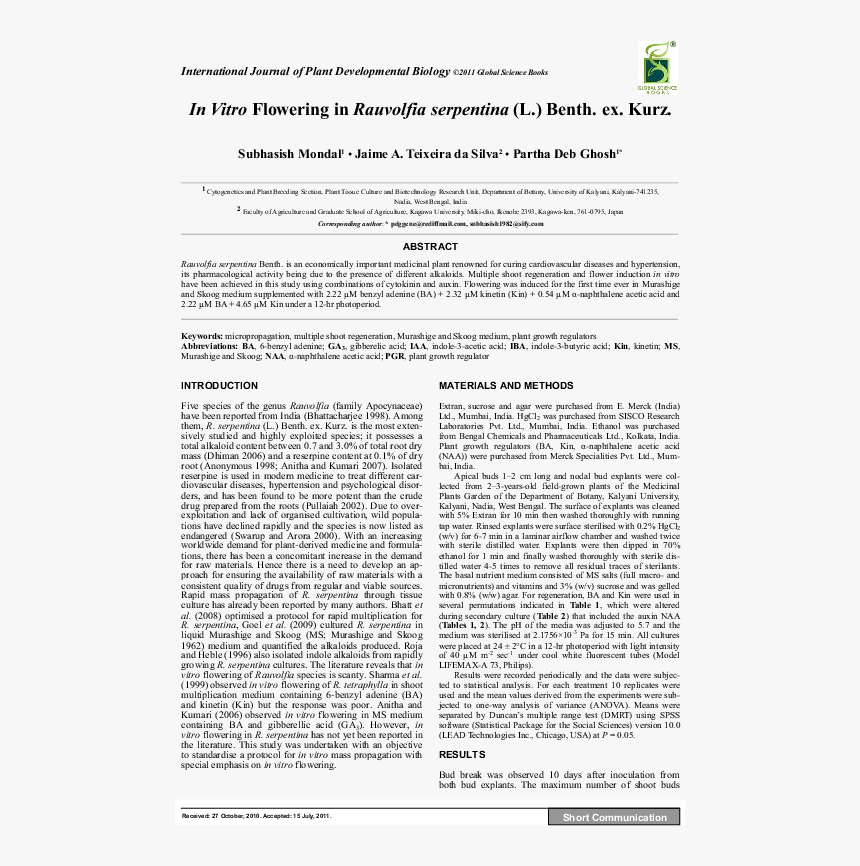 Document, HD Png Download, Free Download