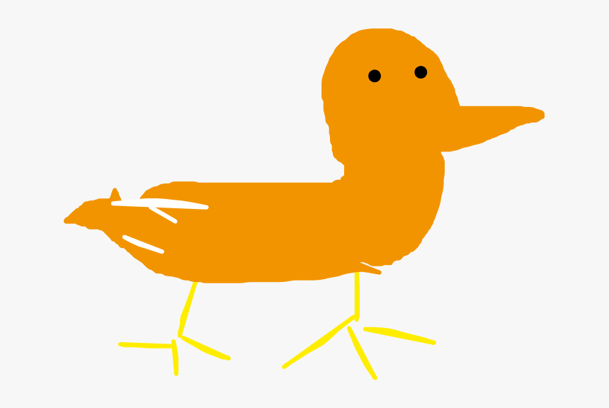 Duck, HD Png Download, Free Download