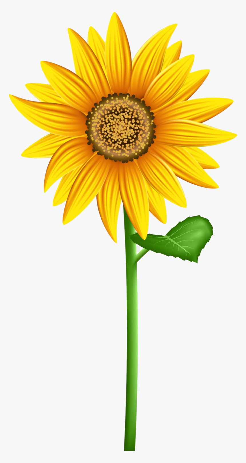 Sunflower Transparent Background Clipart Png - Transparent Background Sunflower Clipart, Png Download, Free Download