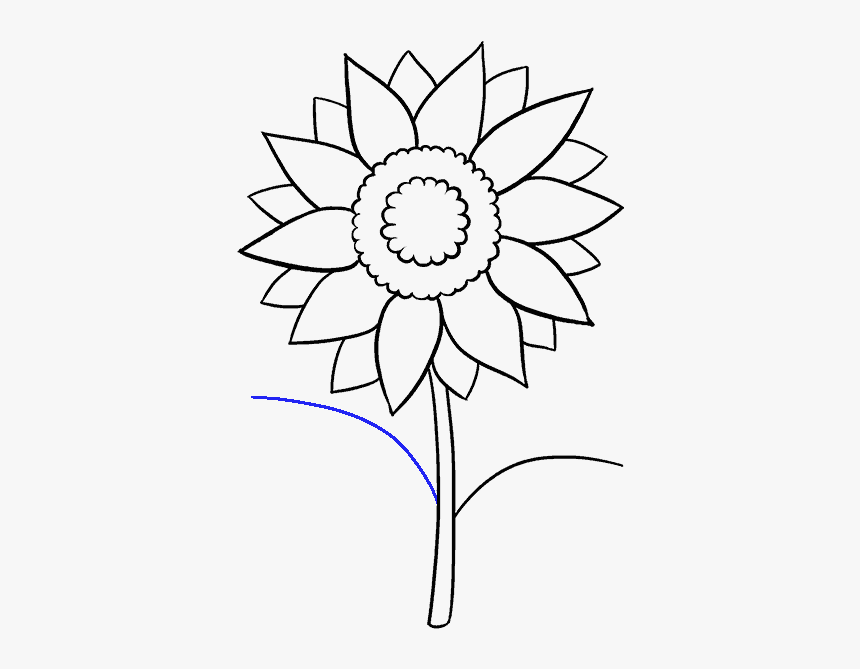 How To Draw Sunflower - Easy Drawing Of Sunflower, HD Png Download, Free Download